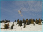 clicca per allargare